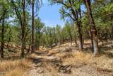 4199 Foots Creek Road - Photo 7