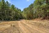 4199 Foots Creek Road - Photo 8