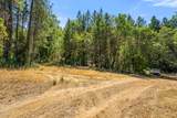 4199 Foots Creek Road - Photo 9