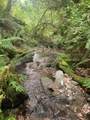 0 North Bank Road - Photo 28