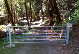 0 North Bank Road - Photo 36