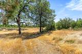 699 Pine Cone Drive - Photo 11