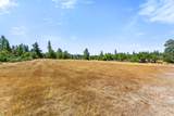 699 Pine Cone Drive - Photo 13
