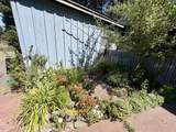 433 Potter Street - Photo 7