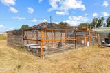 1140 Morningside Lane - Photo 52