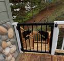 1550 Panoramic Loop - Photo 39