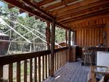 9046 Warbler Drive - Photo 8