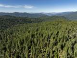 0 Hungry Ridge - Photo 27