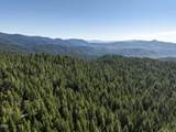 0 Hungry Ridge - Photo 34