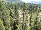 2725 Sykes Creek Road - Photo 11