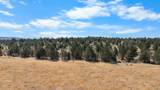 1120 Mctaggart Road - Photo 26