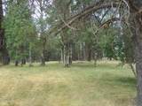 41763 Royal Coachman Drive - Photo 28