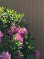 105 Barber Road - Photo 43