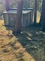 56548 Buckmaster Street - Photo 15