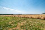 34976 Kamph Drive - Photo 28