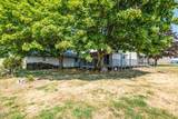 34976 Kamph Drive - Photo 29