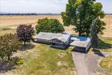 34976 Kamph Drive - Photo 5