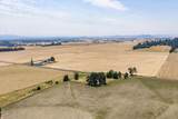 34976 Kamph Drive - Photo 9