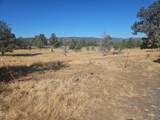 11489 Harpold Road - Photo 5