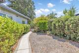 1282 Shady Lane - Photo 49