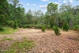 9433 Evans Creek Road - Photo 7