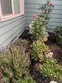 450 Saint Clair Way - Photo 3