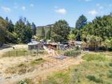 12071 Old Stage Road - Photo 52
