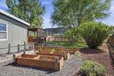 11564 Horny Hollow Trail - Photo 5