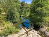 10128 Evans Creek Road - Photo 44