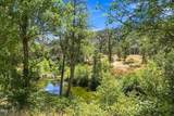 10128 Evans Creek Road - Photo 45
