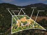 10128 Evans Creek Road - Photo 46