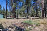52670 Antler Lane - Photo 29