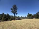 825 Royal Lane - Photo 3