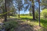 16732 Contorta Place - Photo 86