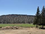 70421 Mckenzie Canyon Road - Photo 19