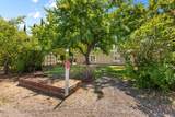 501 Carter Lane - Photo 40