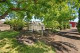 501 Carter Lane - Photo 41