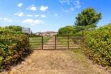 501 Carter Lane - Photo 78
