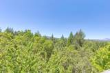 355 Madrone Ridge Drive - Photo 10