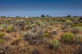 0 Arrowhead Loop - Photo 9