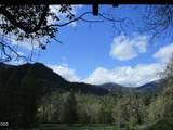 2595 Evans Creek Road - Photo 36