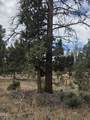 8314 Bly Mountain Cutoff Road - Photo 17