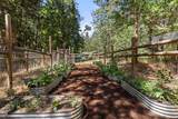 4955 Sardine Creek L Fork Road - Photo 33