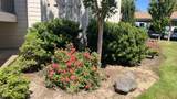 9925 Trapper Terrace - Photo 8
