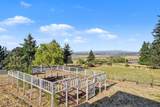 12024 Shadow Hills Court - Photo 44