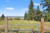 12024 Shadow Hills Court - Photo 48