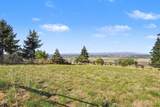 12024 Shadow Hills Court - Photo 49