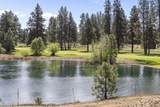 20398 Big Bear Court - Photo 79