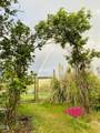 6577 Adams Road - Photo 99