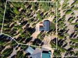 52081 White Fir - Photo 39